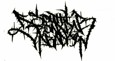 logo South Bronx Paradise